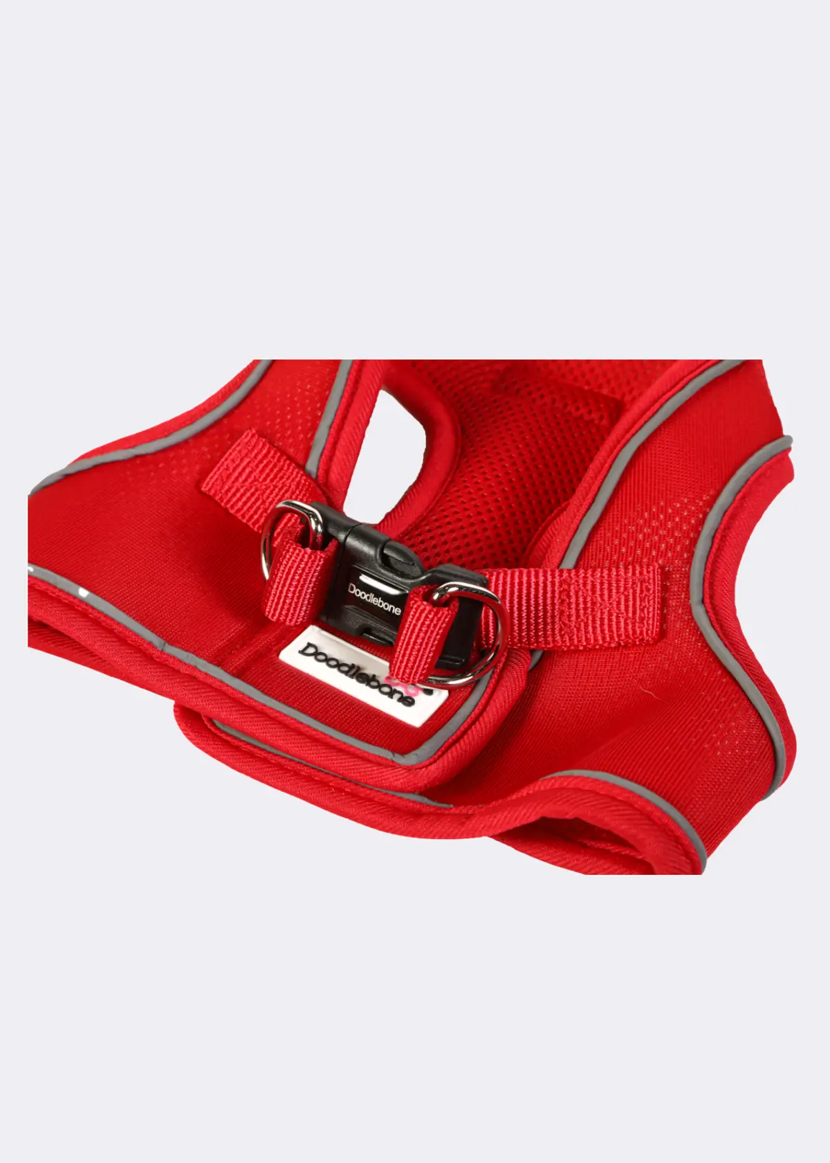 A photo of Doodlebone Originals Snappy Harness Ruby 4
