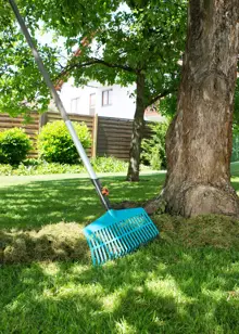 Combisystem Lawn Rake