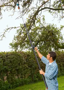 Combisystem Anvil Branch Pruner