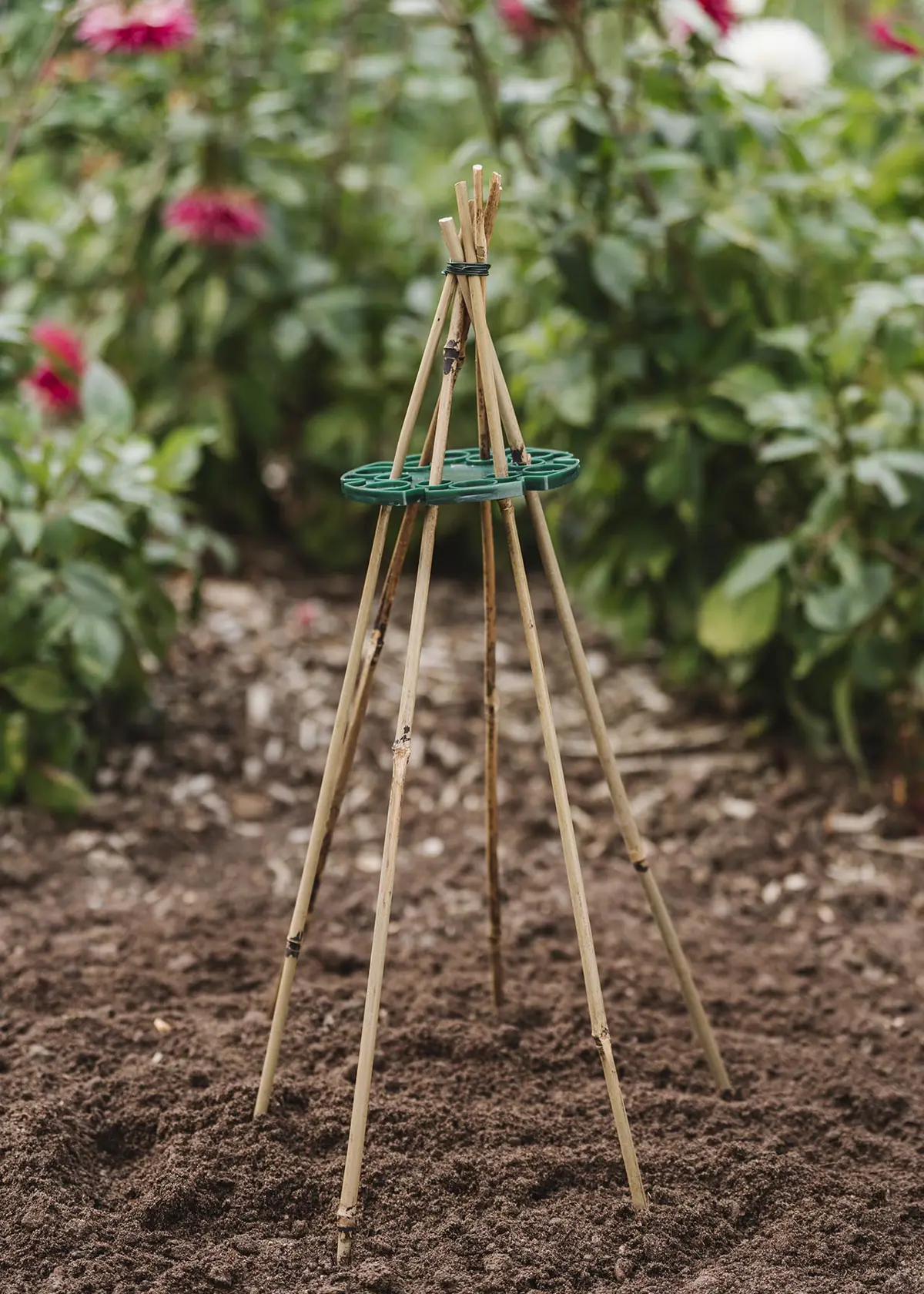 A photo of Pre-Bulk Bamboo Canes 60cm Pack Of 20