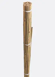 0.9m Bamboo Canes (20)