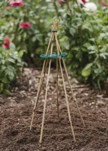 0.9m Bamboo Canes (20)
