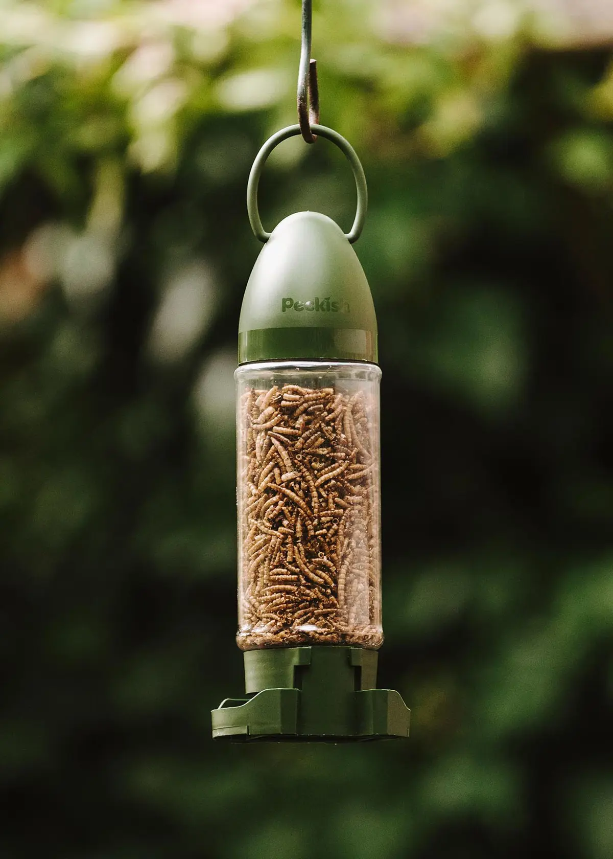 A photo of Peckish Mealworm RTU Feeder