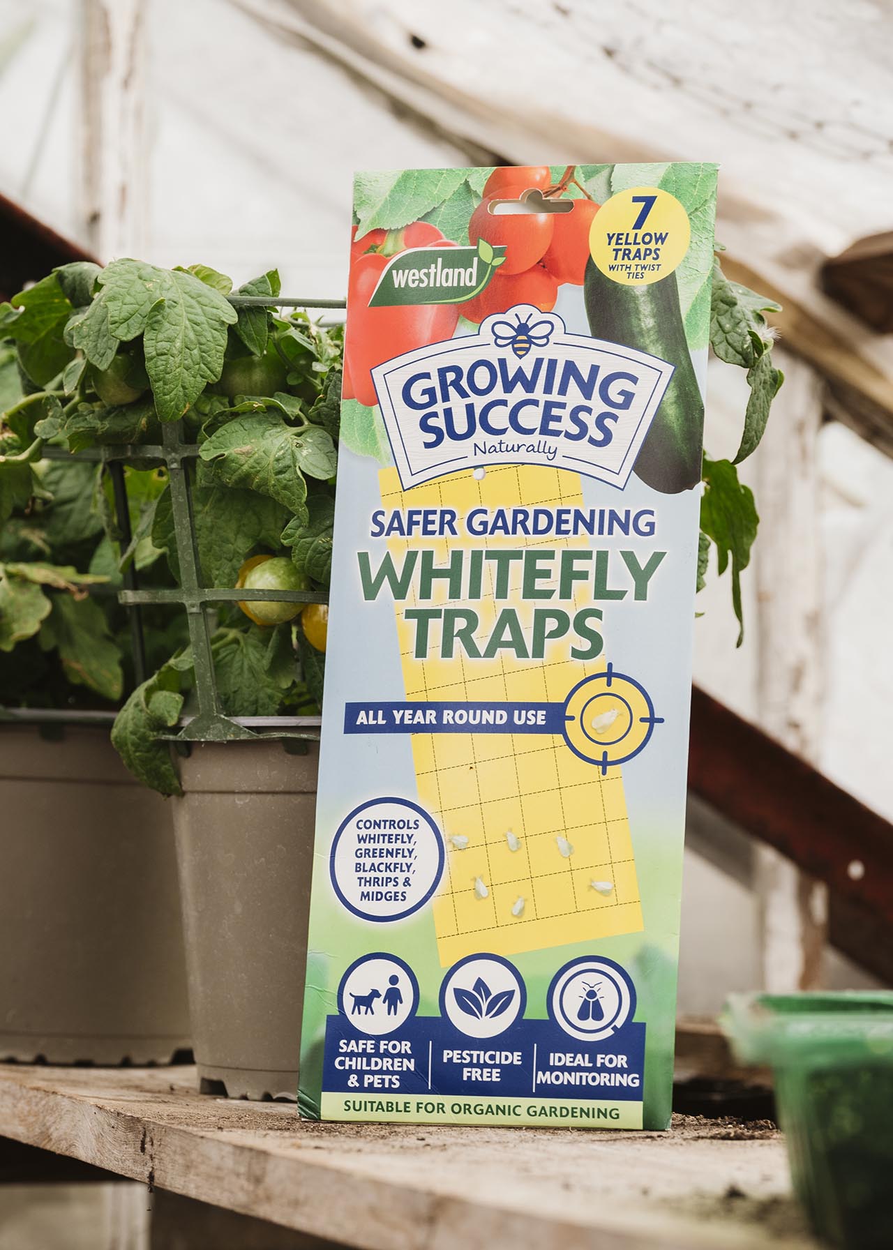 GS Greenhouse Whitefly Traps 7panel Dobbies Garden Centres