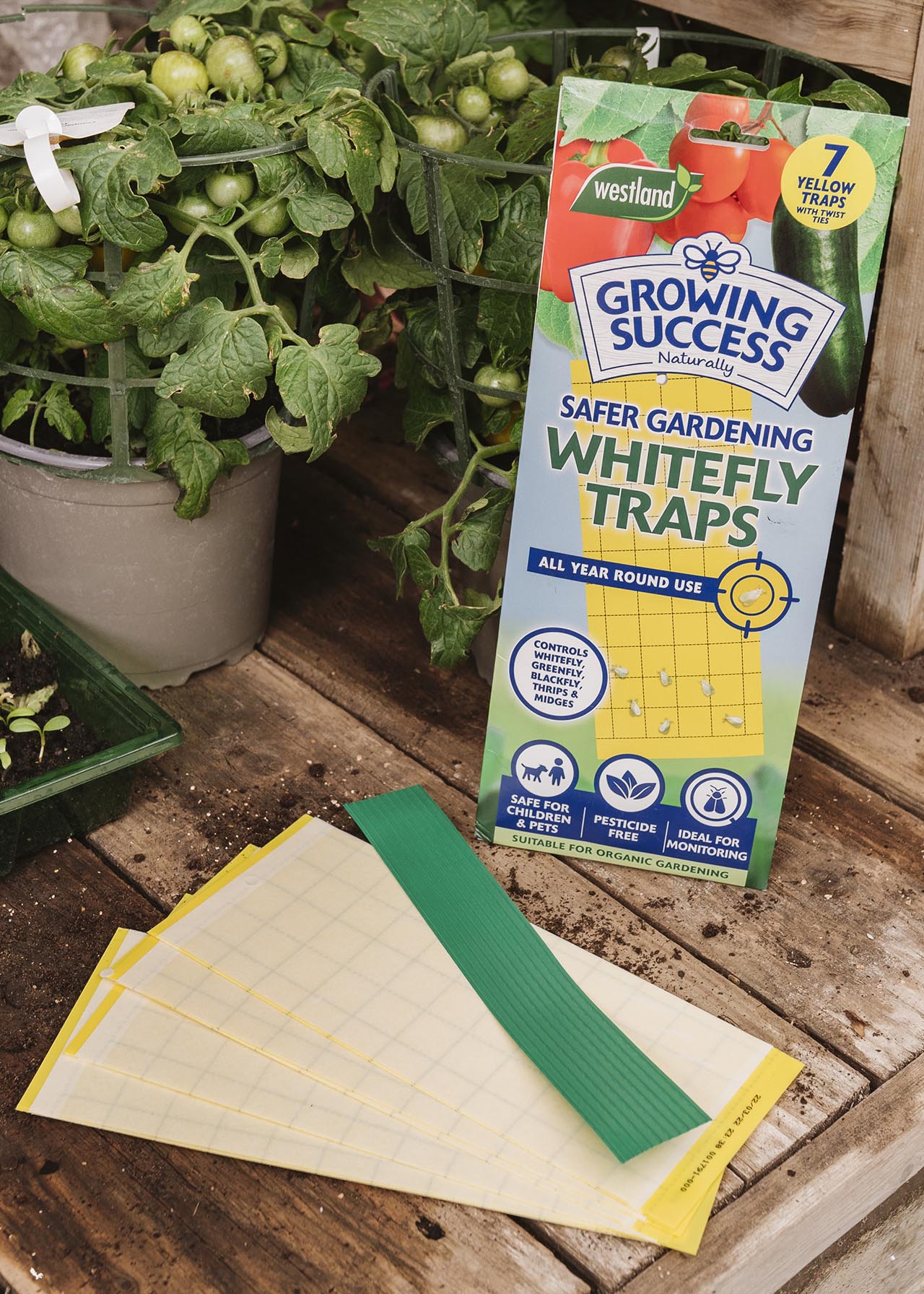 GS Greenhouse Whitefly Traps 7panel Dobbies Garden Centres