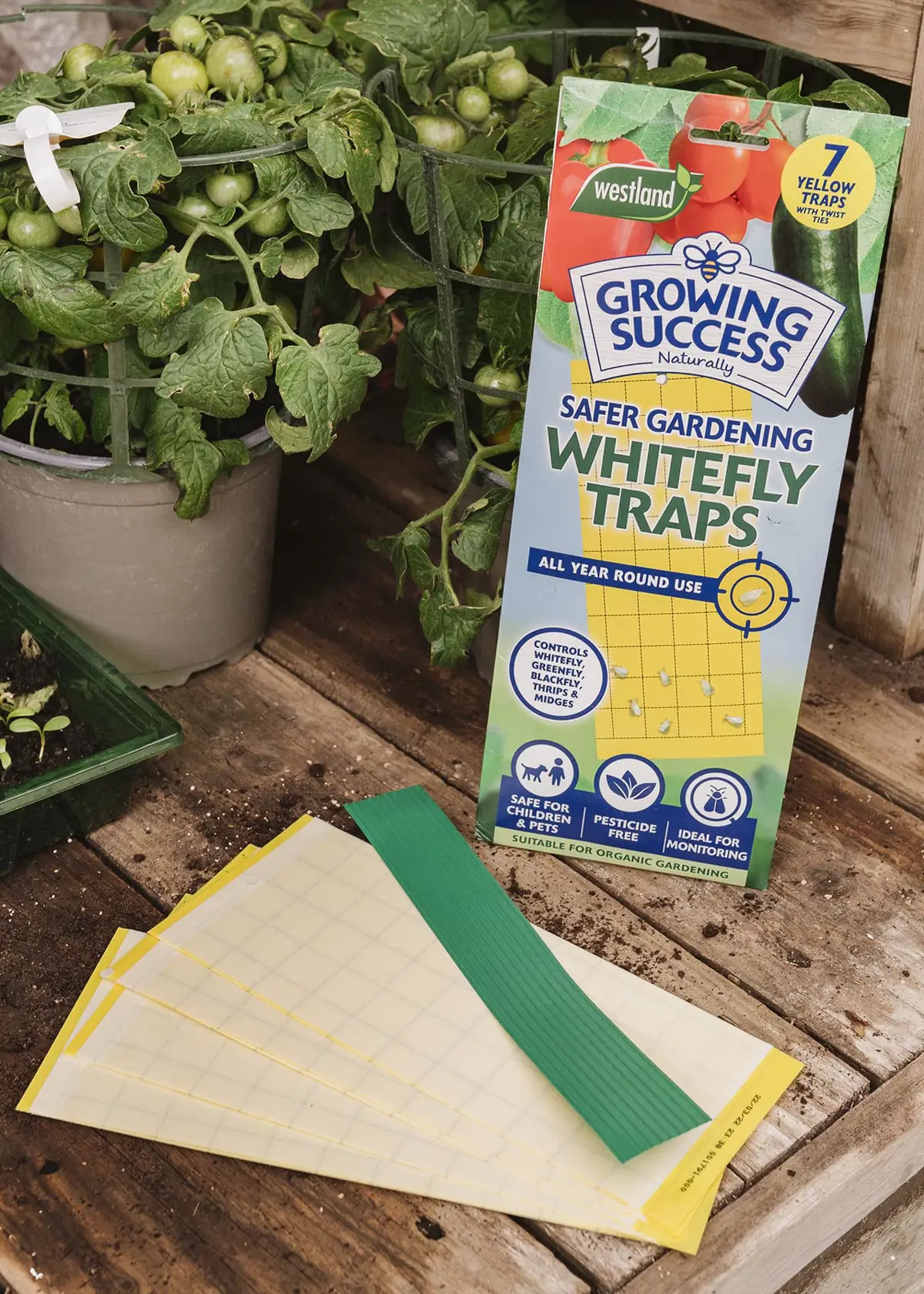 A photo of Growing Success Greenhouse 7-panel Whitefly Traps