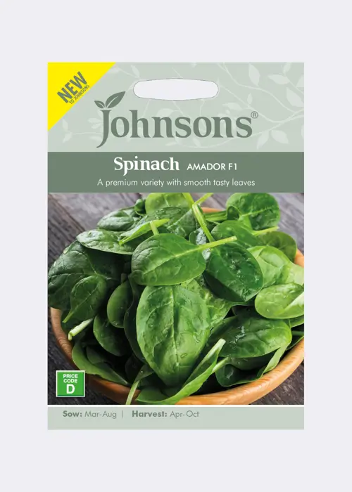 A photo of Spinach Amador F1 Seeds