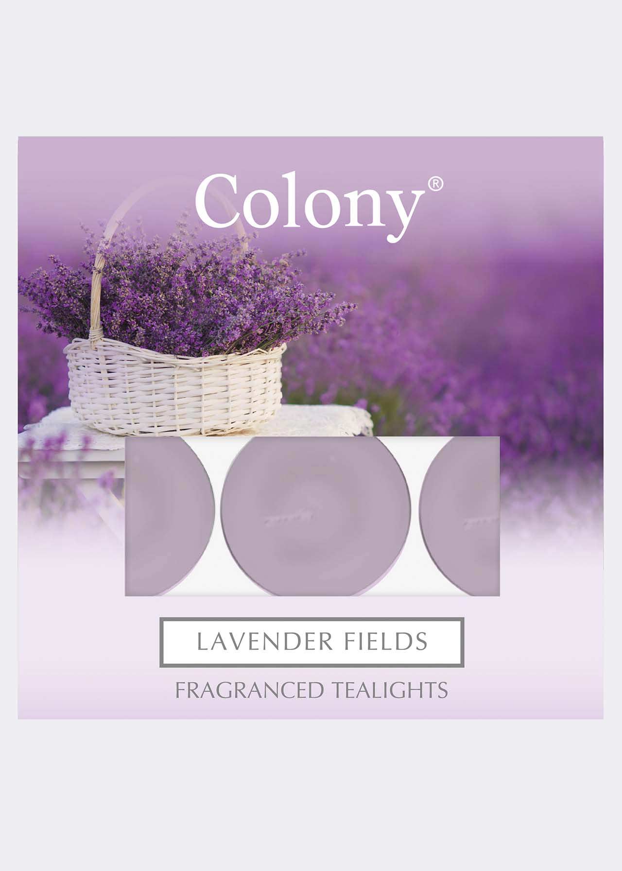 Lavender Fields Tealights Pack of 9