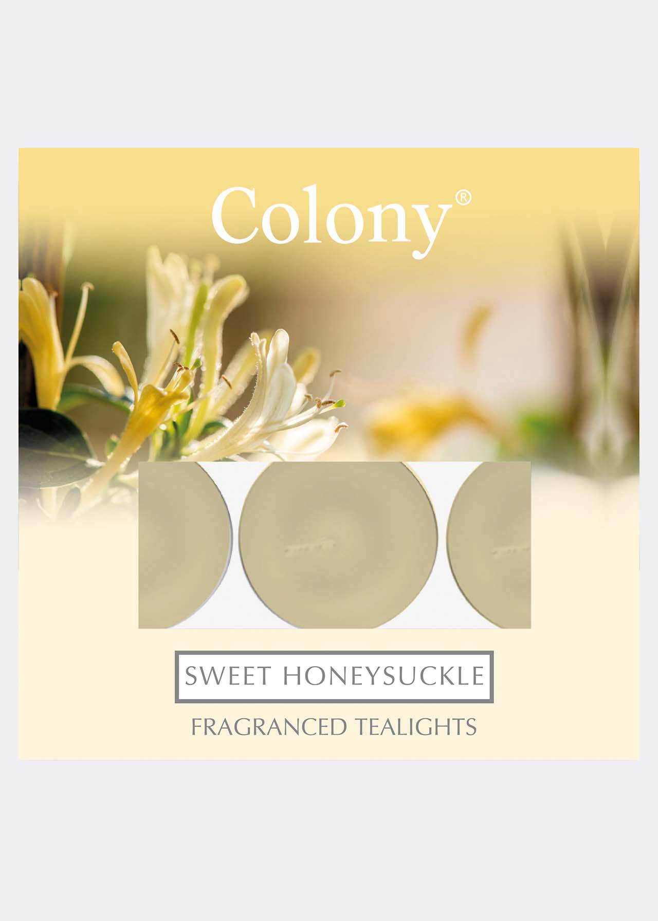 Honeysuckle Tealights Pack of 9