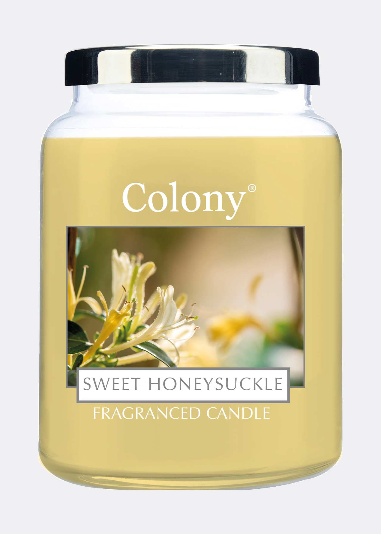 Sweet Honeysuckle Candle Large Jar