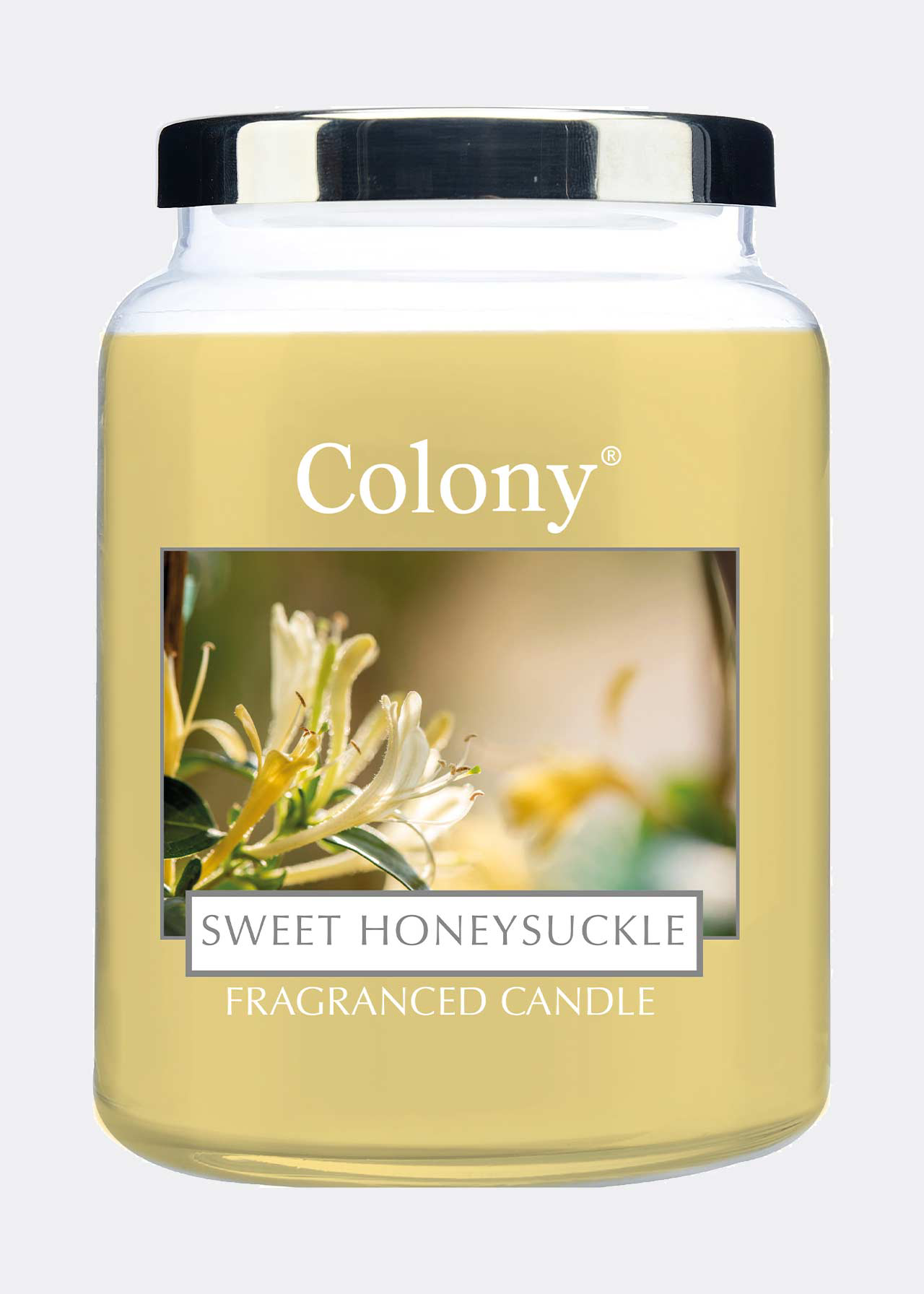 Sweet Honeysuckle Candle Large Jar
