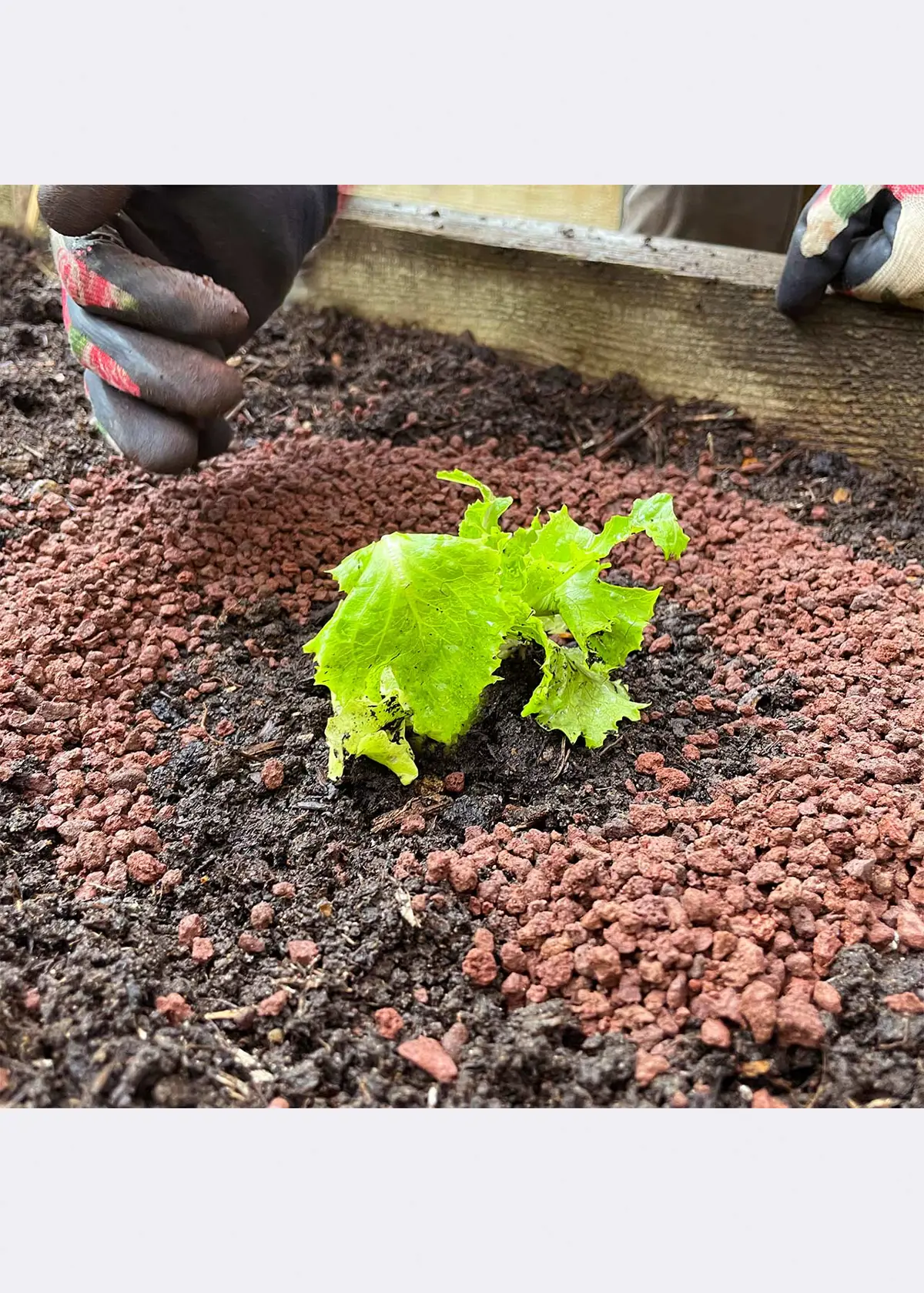 A photo of SlugClear Slug & Snail Barrier 2.5kg