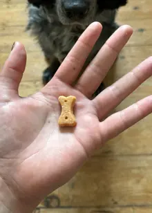 Beco Cashew Dog Treats70g
