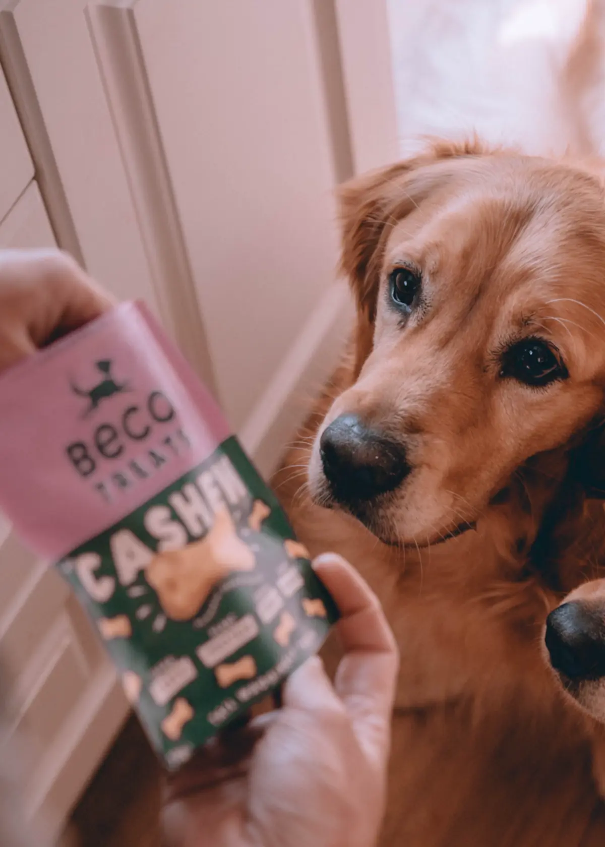 A photo of Beco Cashew Dog Treats70g