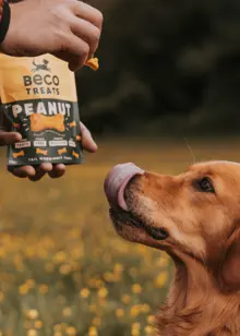 Beco Peanut Dog Treats 70g