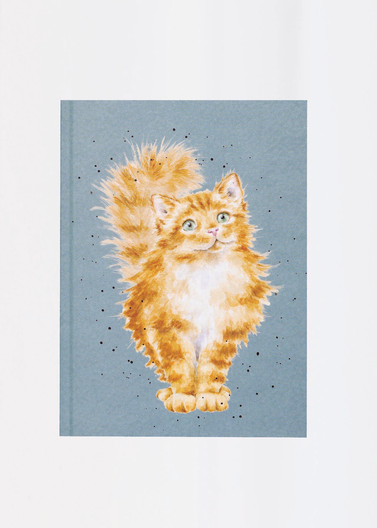 Cat A6 Notebook