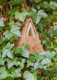 Rattan Camouflage Wren Nesting Box