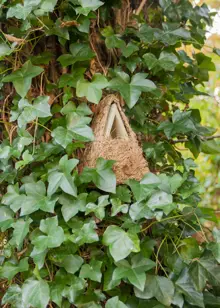 Rattan Camouflage Wren Nesting Box