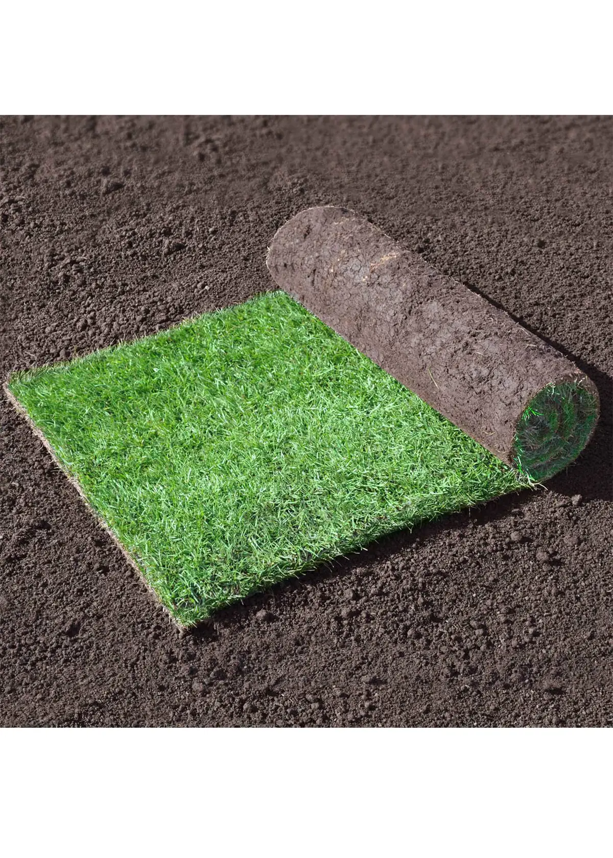 Premium Lawn Turf 20sqm