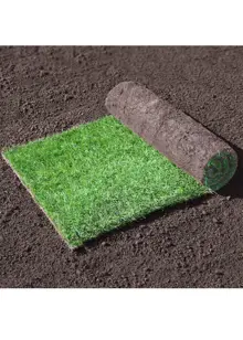 Premium Lawn Turf 20sqm