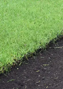 Premium Lawn Turf 20sqm
