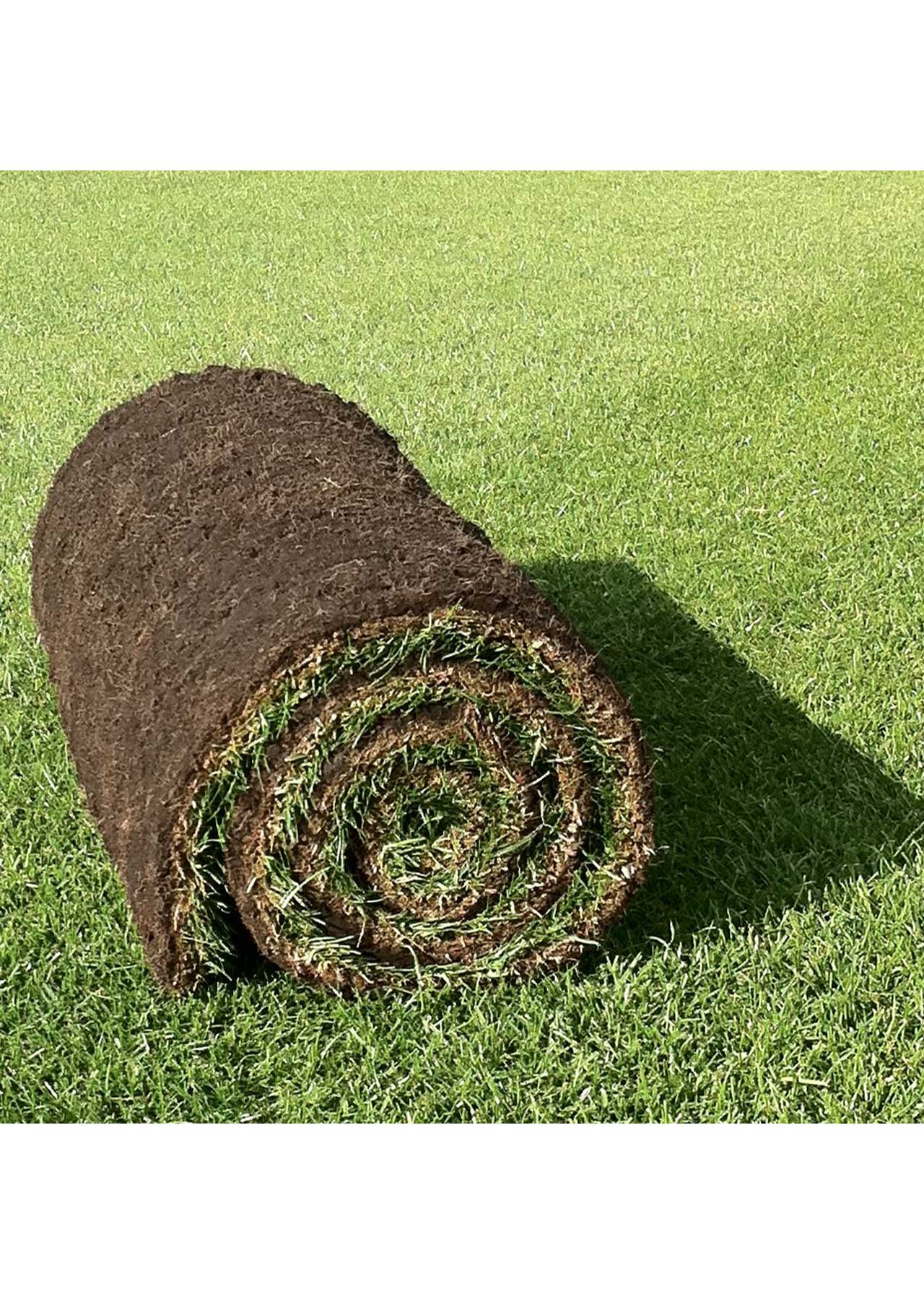 Premium Lawn Turf 40sqm