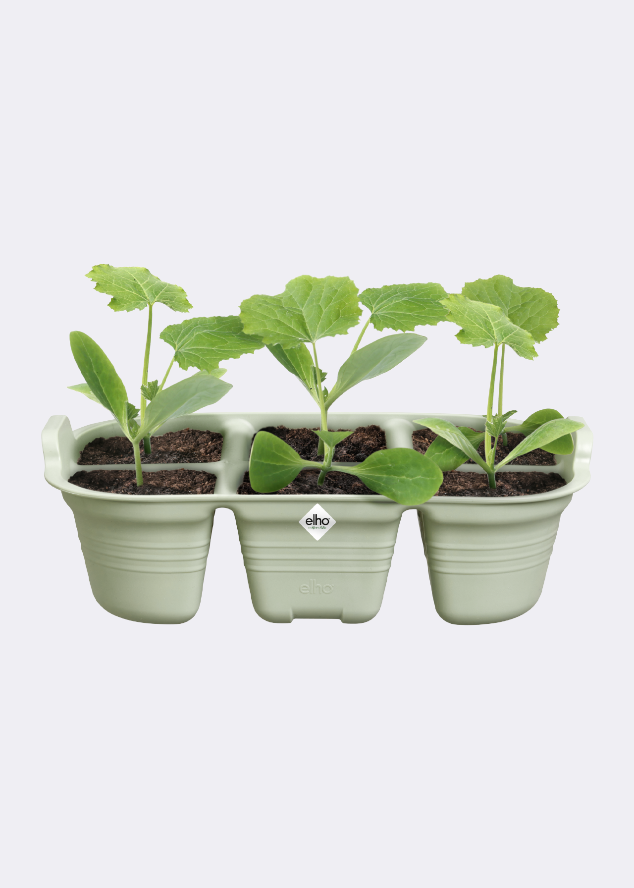 Elho Green Basics Seed Tray 22cm