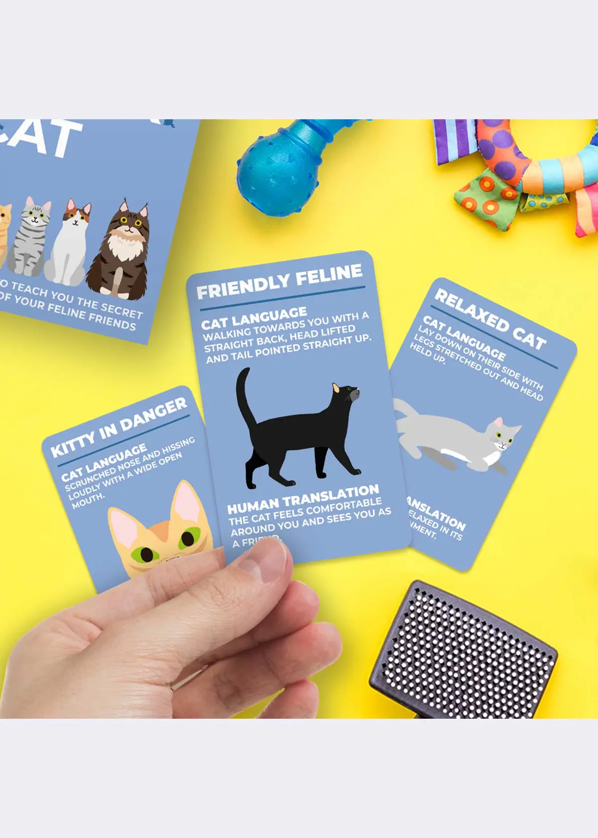 A photo of How To Speak Cat Cards