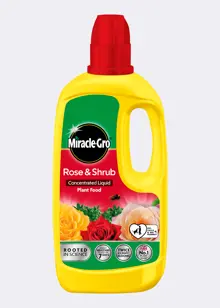 Miracle-Gro Rose Feed 800ml