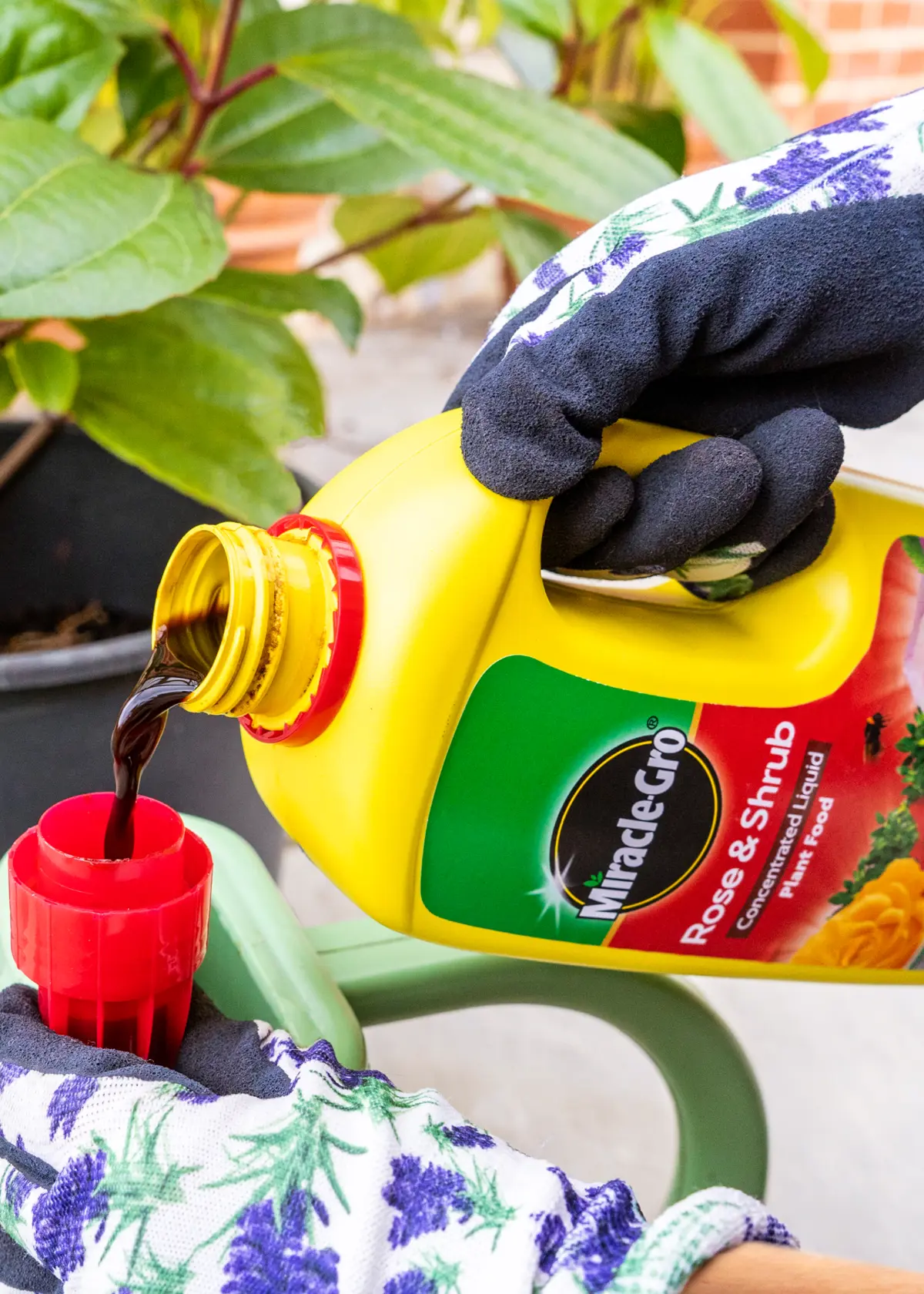 A photo of Miracle-Gro Rose Feed 800ml