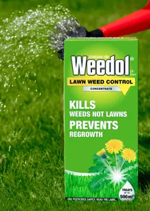 Weedol Lawn Concentrate Weed Killer 1L