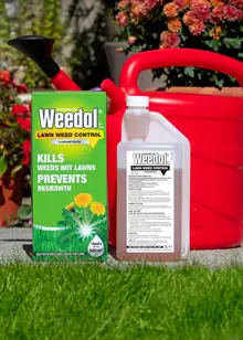 Weedol Lawn Concentrate Weed Killer 1L