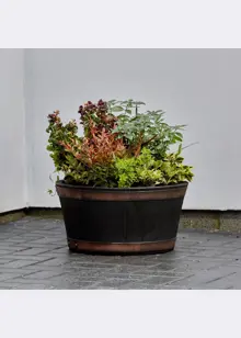 Oakwood Barrel Planter 50cm