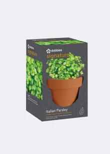 Dobbies Mediterranean Tastes Italian Parsley