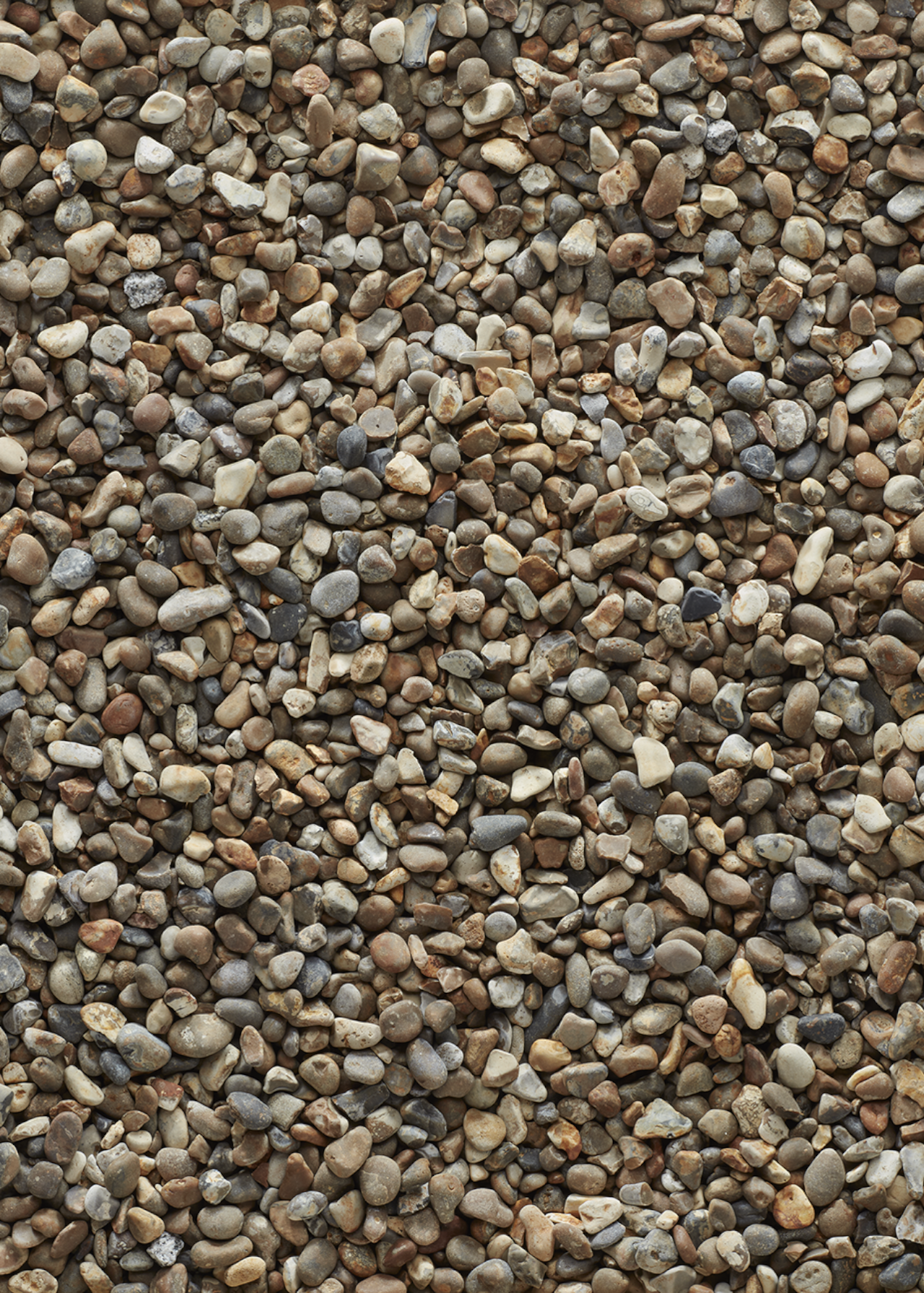 Marbled Oyster Pebbles Bulk Bag