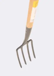 Dobbies Border Fork