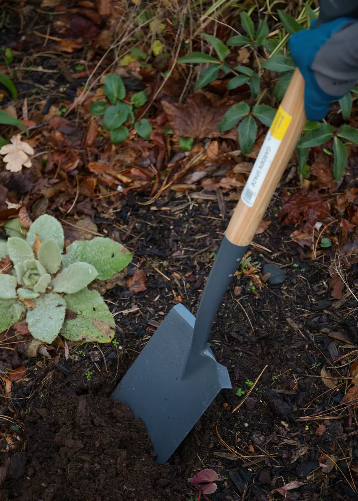 A photo of Dobbies Border Spade
