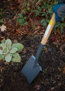 Dobbies Border Spade
