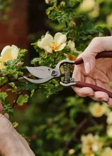 Kent & Stowe Garden Life Bypass Secateurs