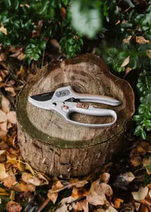 Kent & Stowe Surecut Hardwood Anvil Ratchet Secateurs