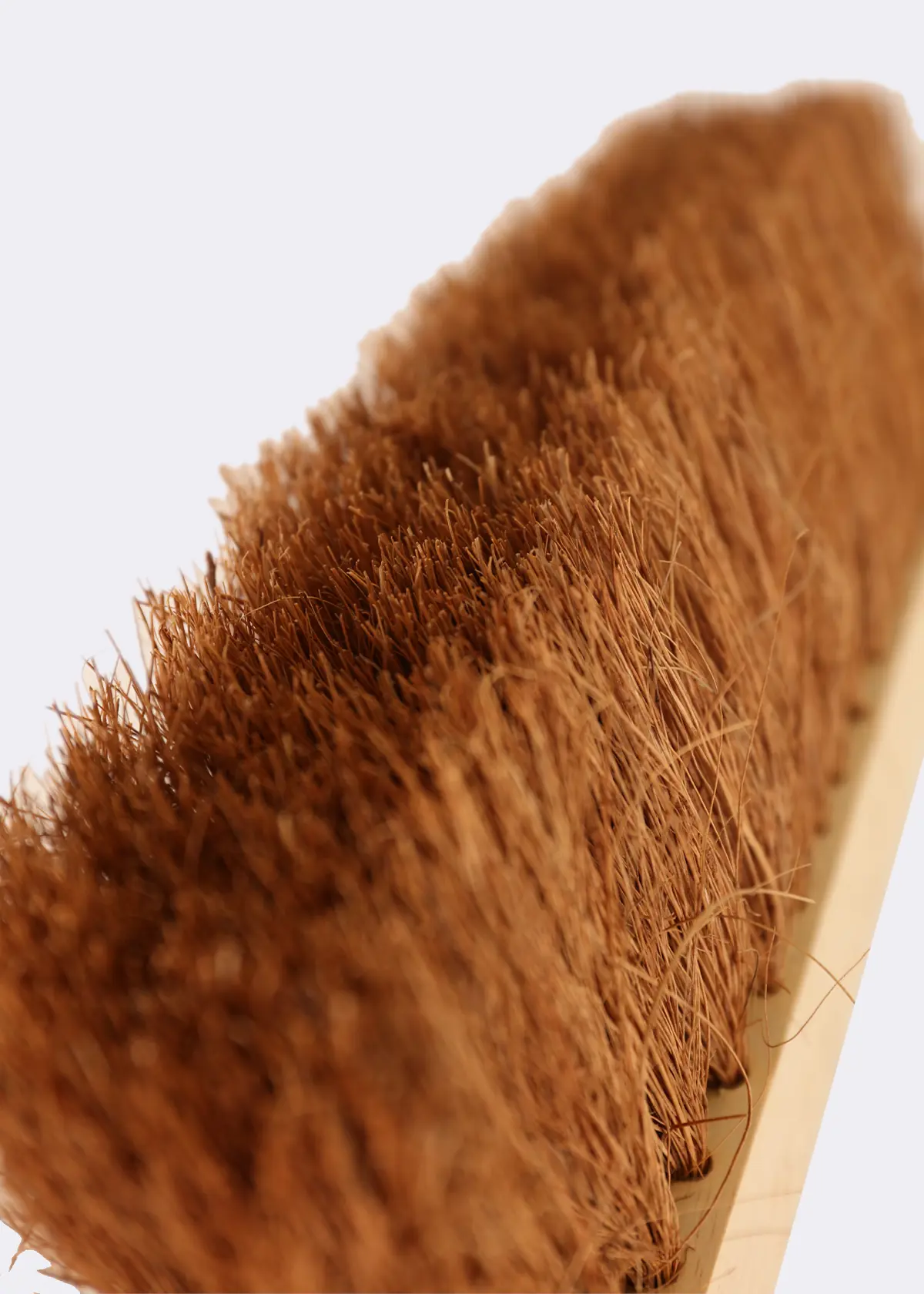 A photo of Dobbies Soft Brush