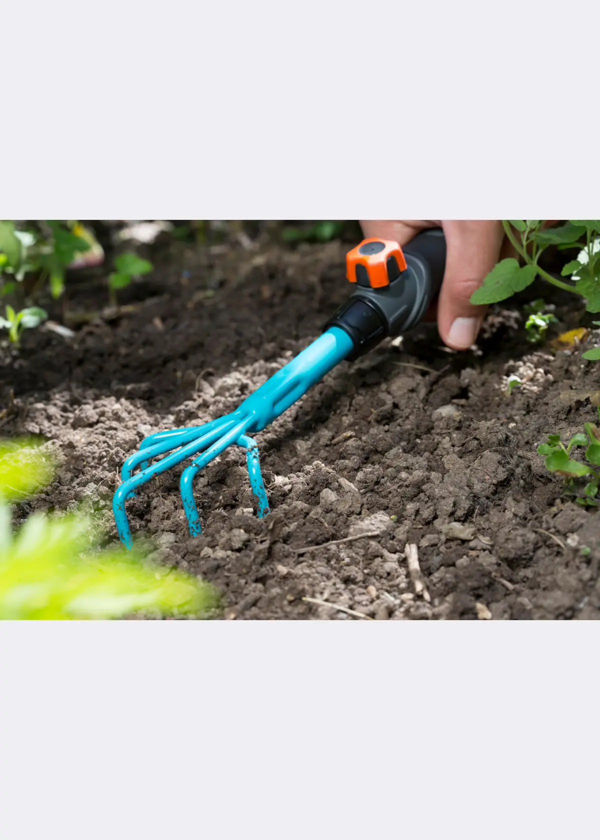 A photo of Combisystem Hand Weeder