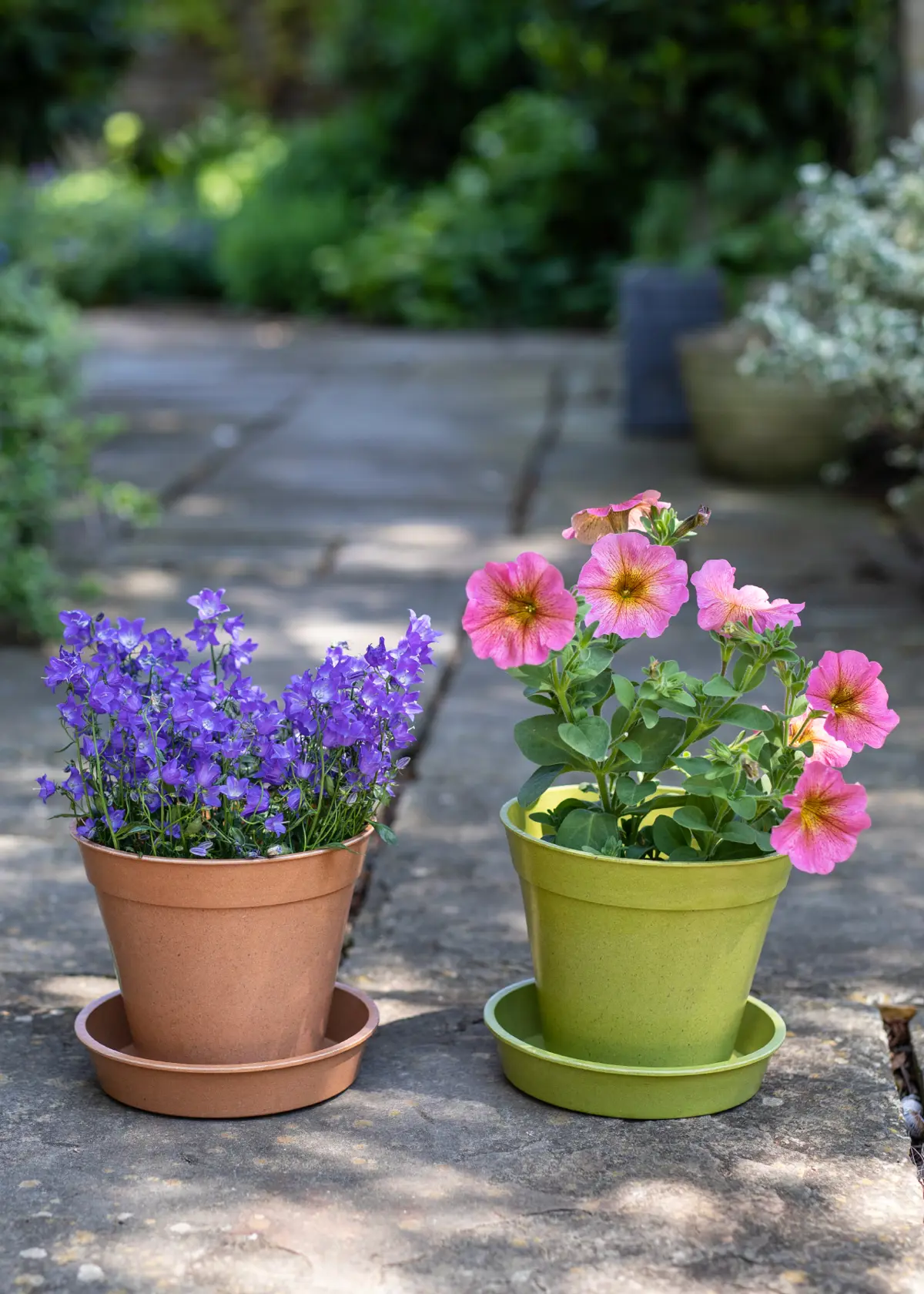 A photo of Pack of 5 Bamboo Saucers 10cm Terracotta