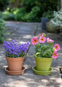 Pack of 5 Bamboo Saucers 10cm Terracotta