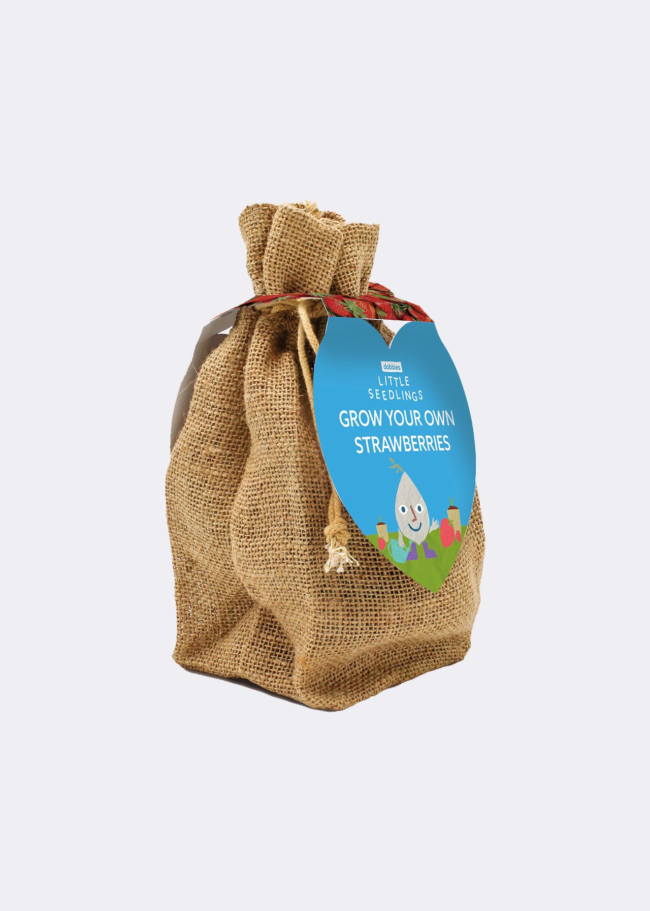 Little Seedlings GYO Strawberries Kit