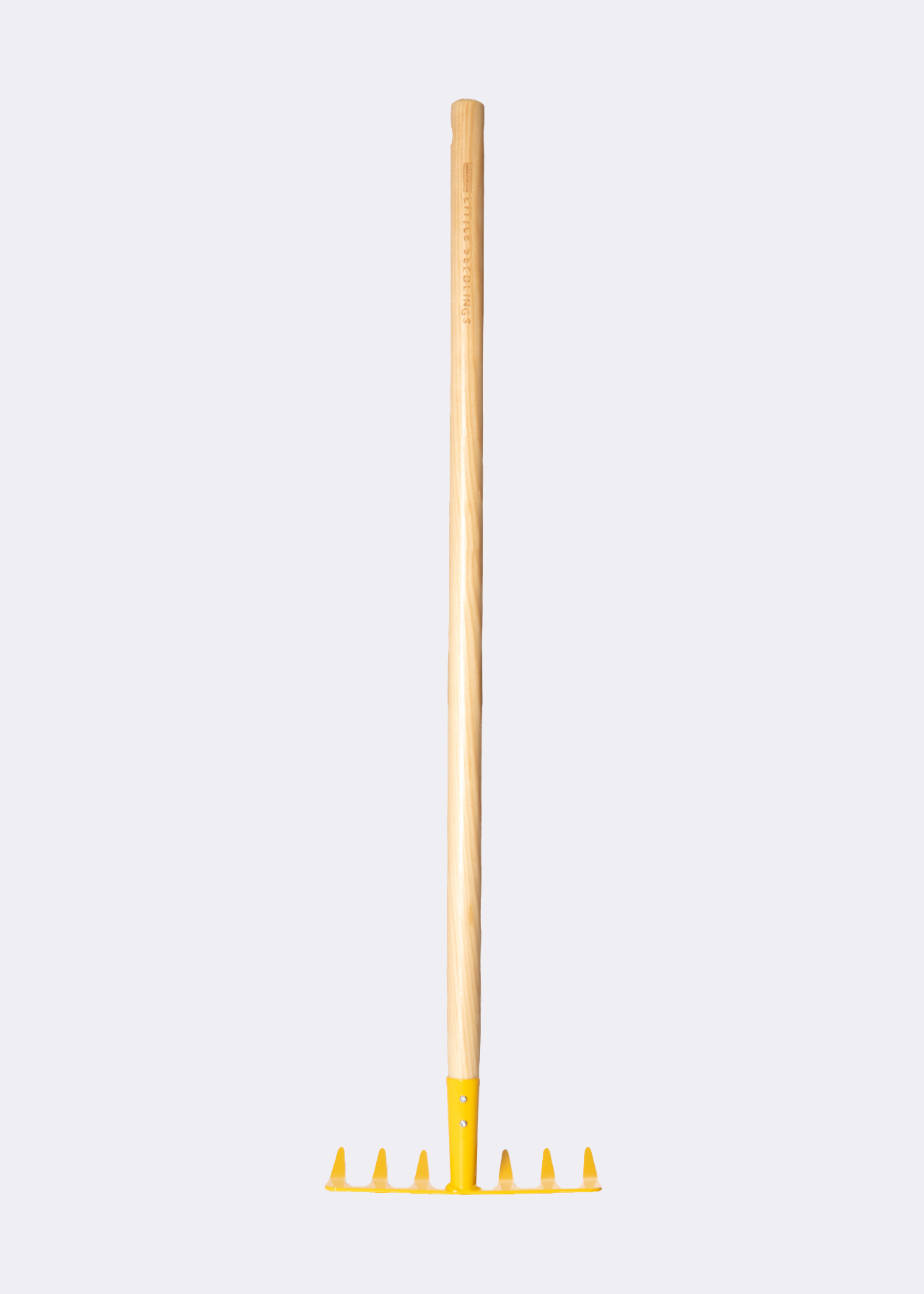 Kids Long Handled Leaf Rake