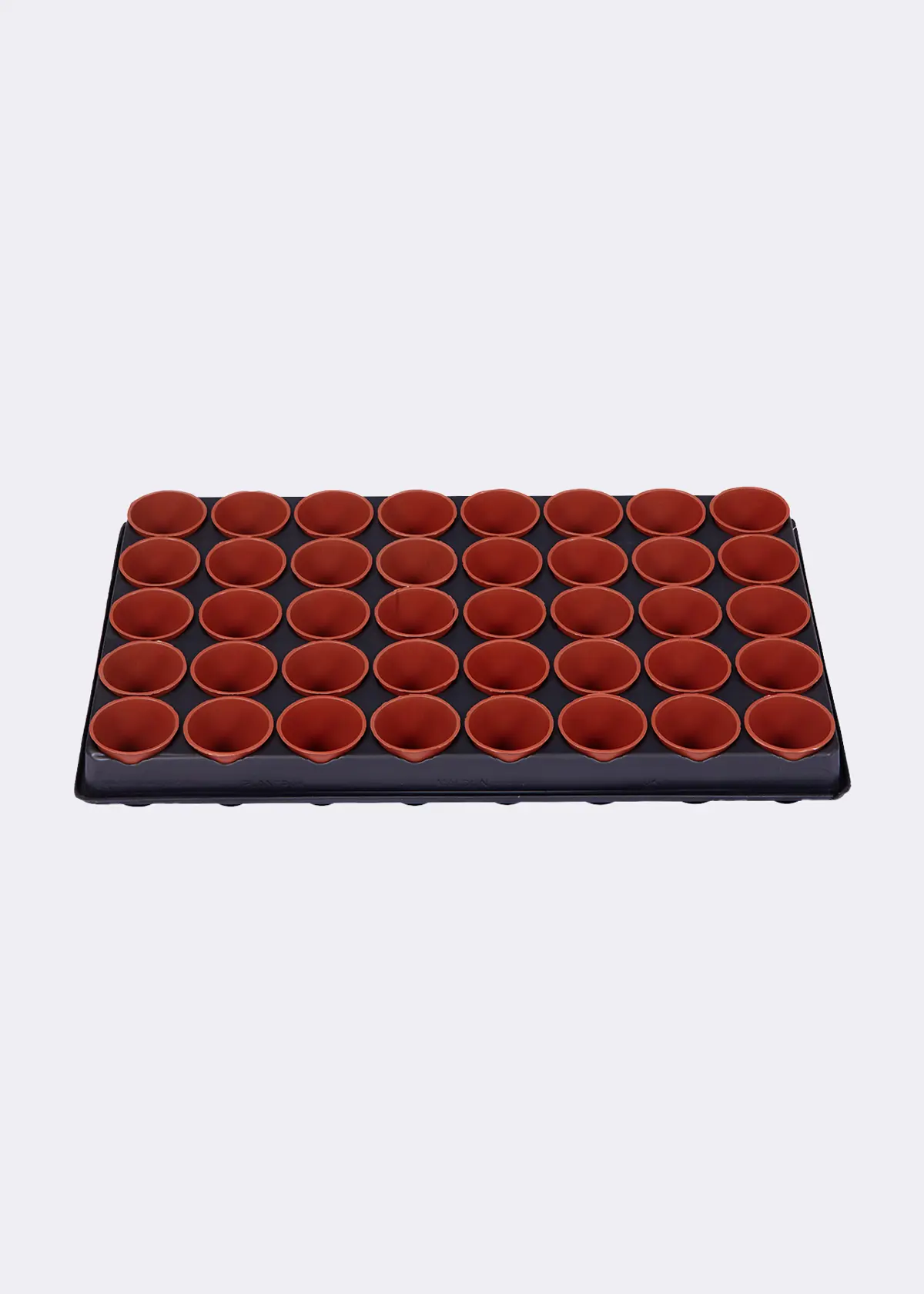 A photo of Dobbies Seed and Cutting Tray with 40x6cm Pots