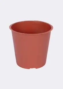 Dobbies Seed and Cutting Tray with 40x6cm Pots