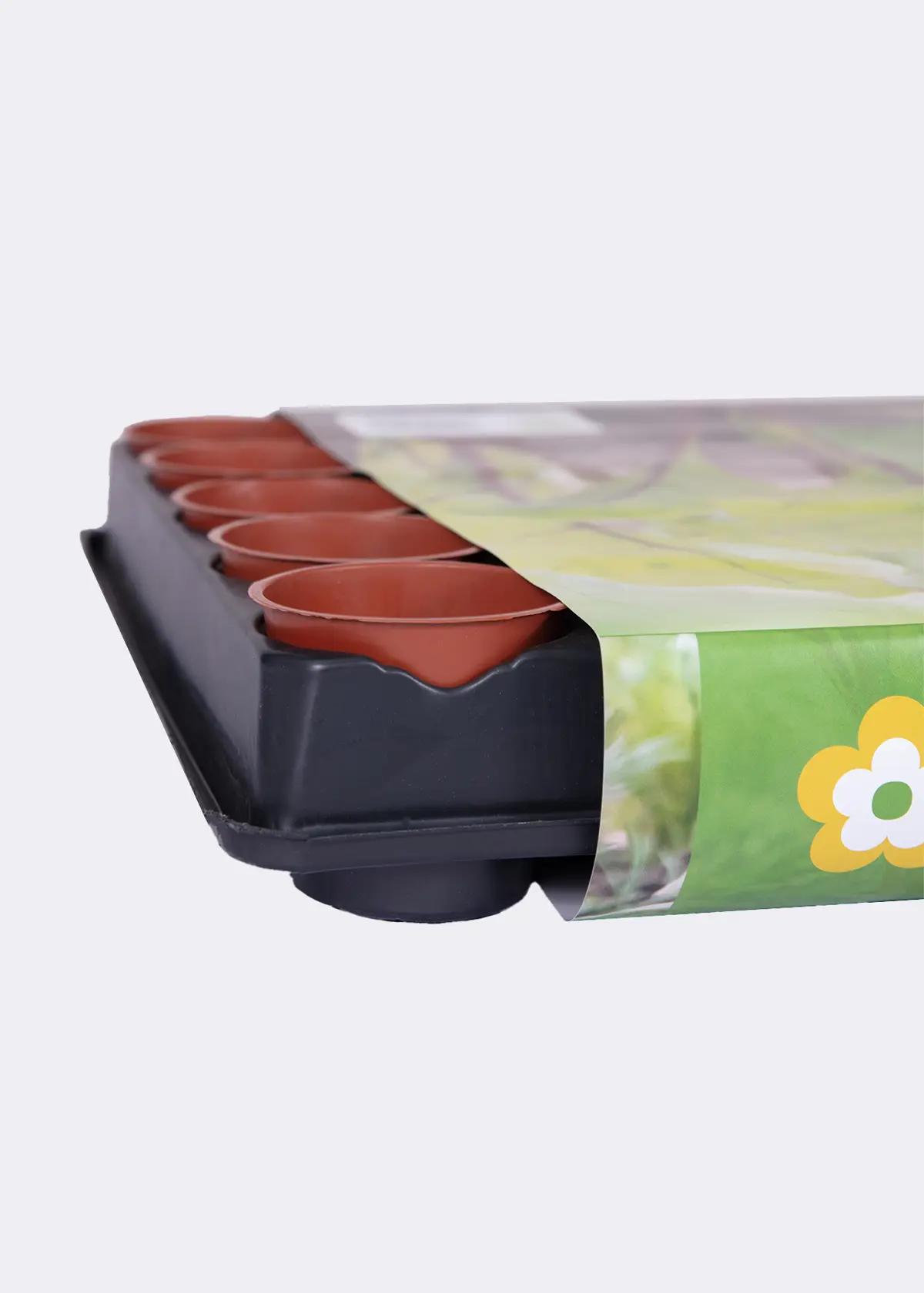 A photo of Dobbies Seed and Cutting Tray with 40x6cm Pots