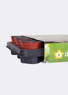 Dobbies Potting On Tray with 18x9cm Pots